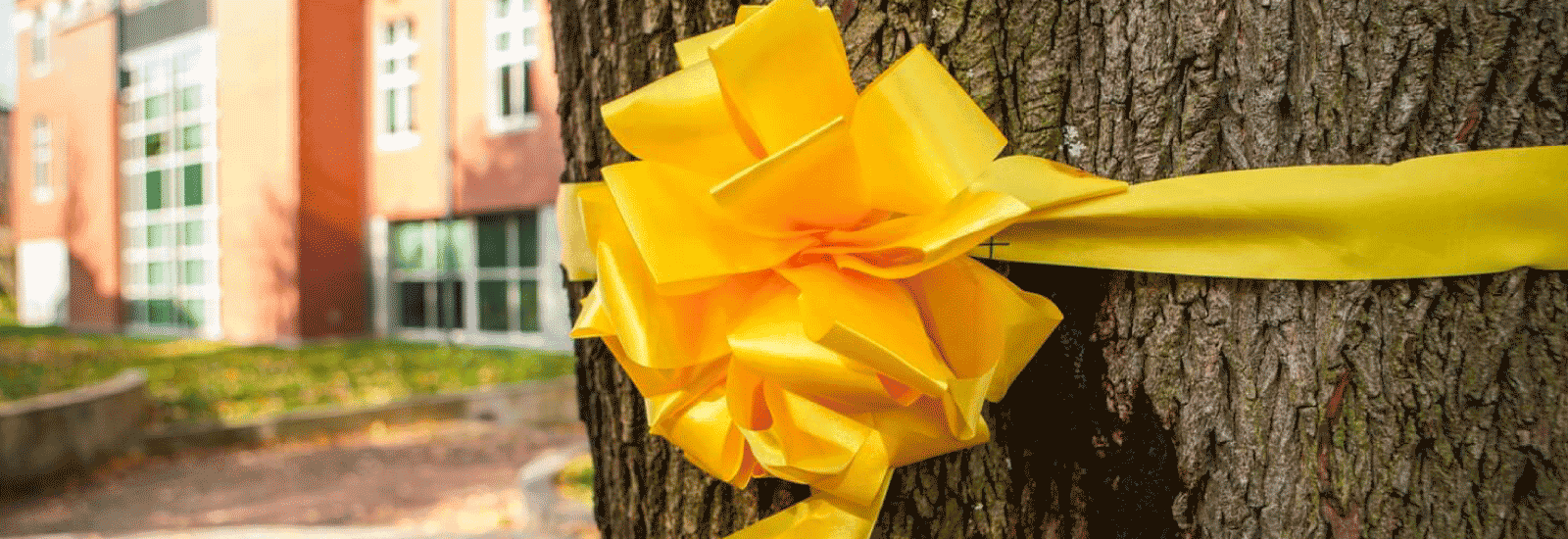 What is the Yellow Ribbon Schools Program and How Do I Qualify?