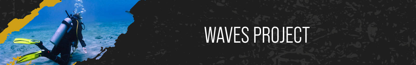 WAVES Project