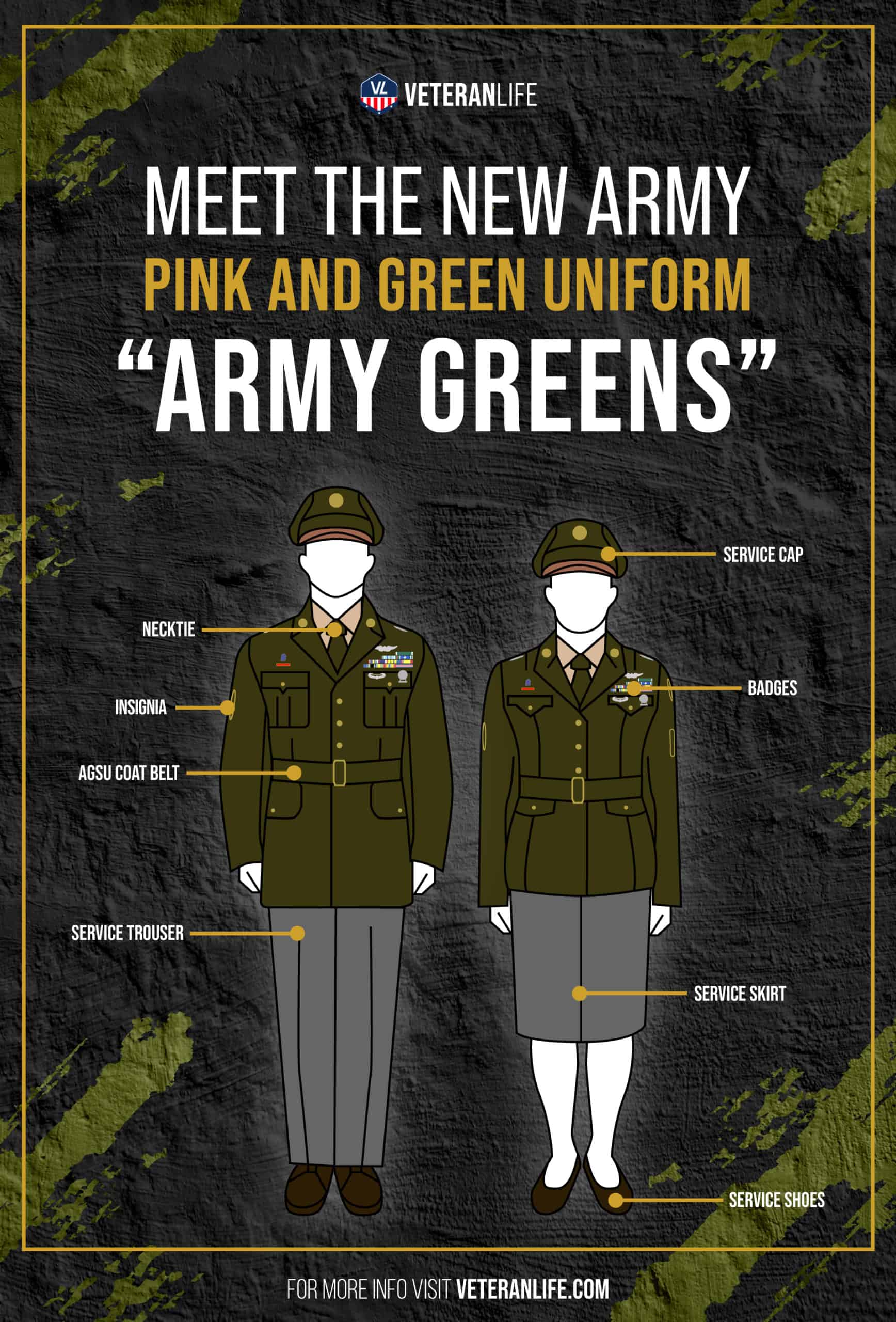 New Army Pink and Green Uniform Update Infographic