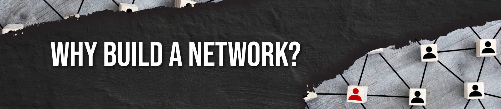 Why Build a Network?