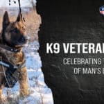 K9 Veterans Day: Celebrating the Service of Man’s Best Friend