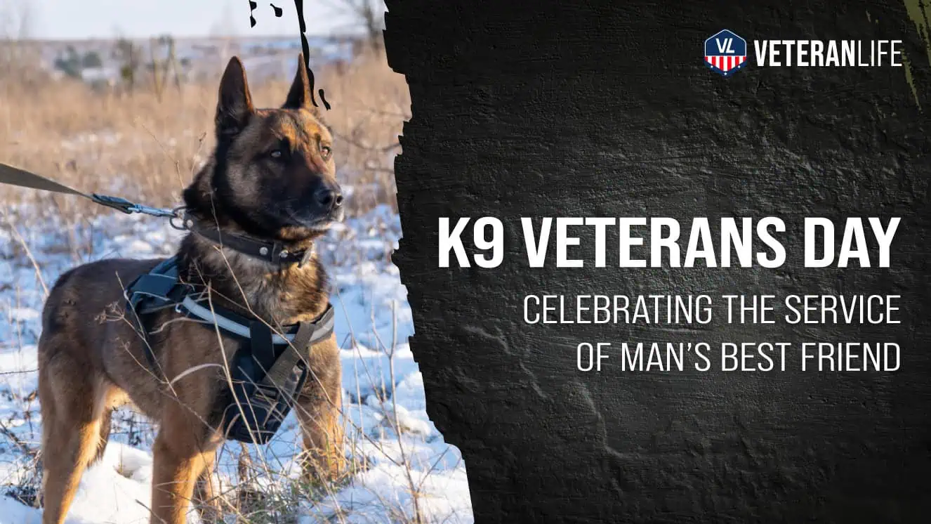 K9 Veterans Day: Celebrating the Service of Man’s Best Friend