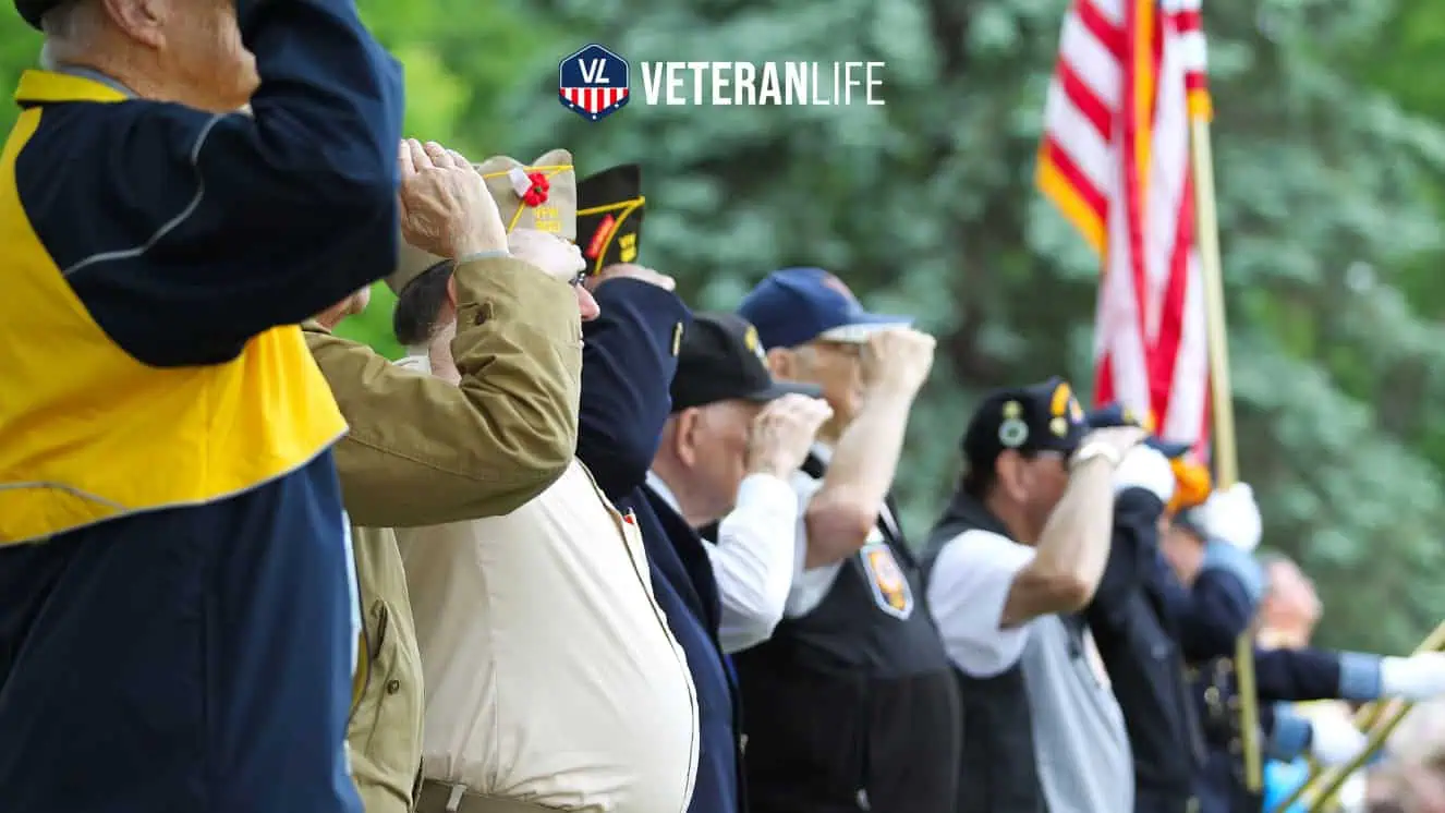 Veterans saluting