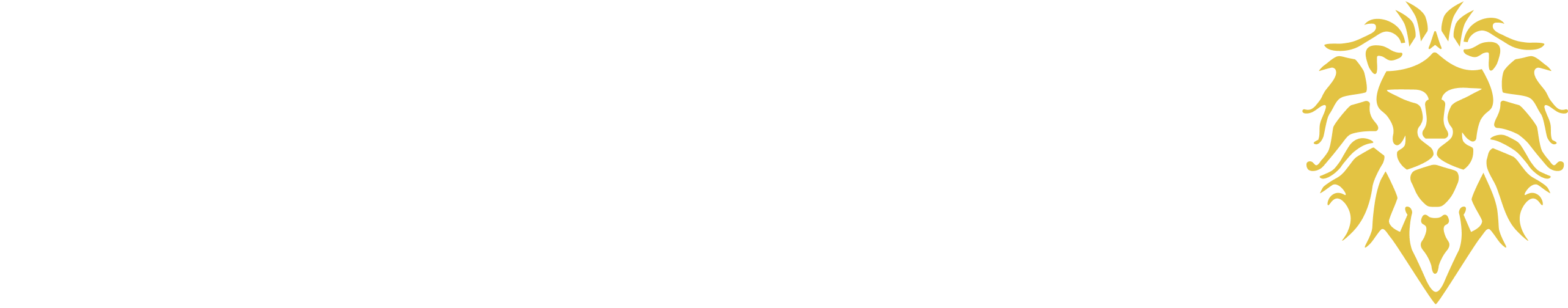 Ruget Company logo