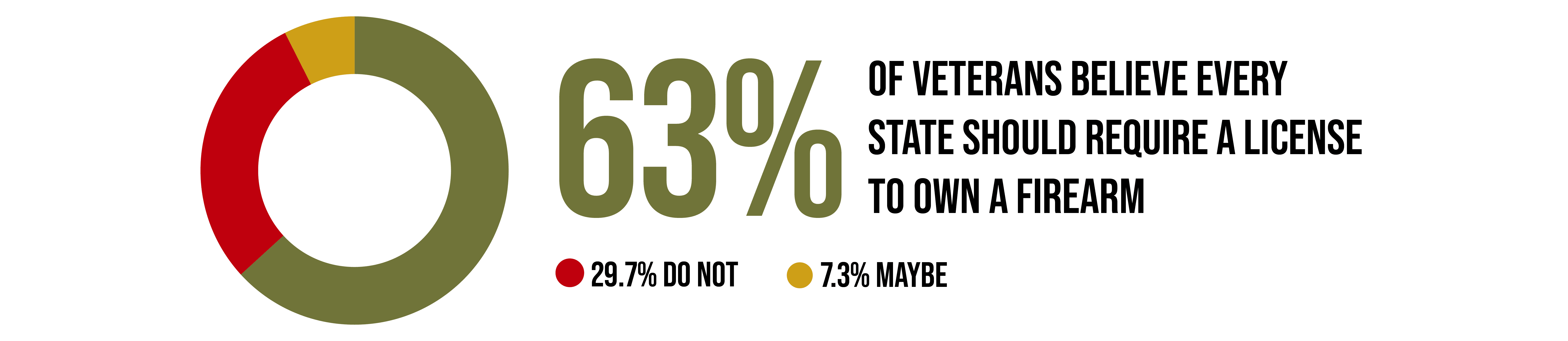 64% of Veterans Support Raising the Legal Age to Purchase a Gun to 21