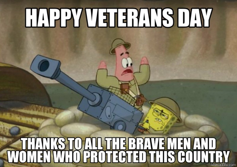  funny Veterans Day meme