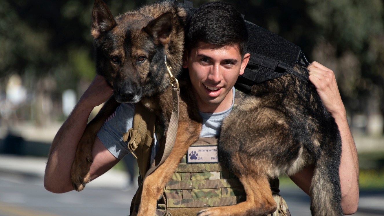 U.S. Air Force Senior Airman Anthony Seretis, 39th Security Forces Squadron military working dog handler and WMD Bosco, approach the finish line of the K9 Veterans Day ruck event March 13, 2021, at Incirlik Air Base, Turkey. Military dogs like this are celebrated every year in March for National K9 Veterans Day.