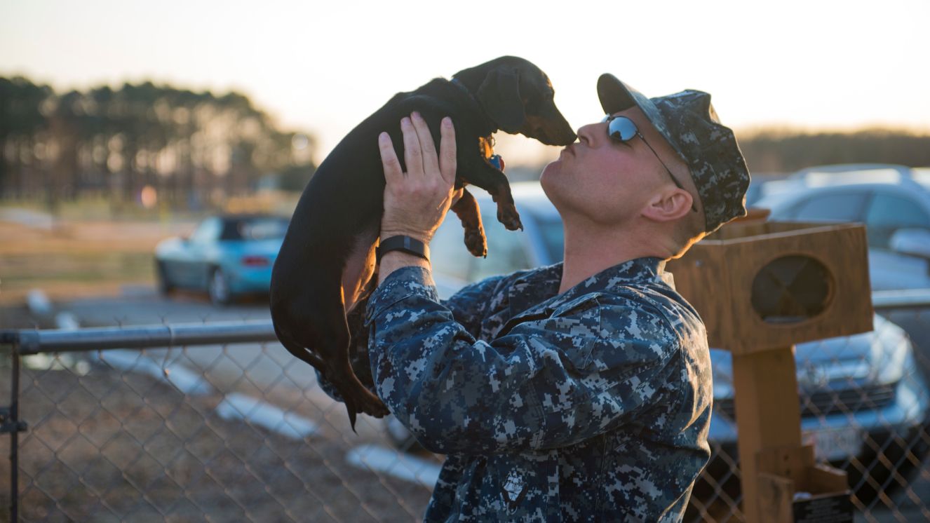 Fire Controlman 1st Class Carl LaTorre is reunited with his miniature dachshund, Rocky, after returning from a six-month deployment. Military dog boarding services are available from organizations who support service members while they're away.