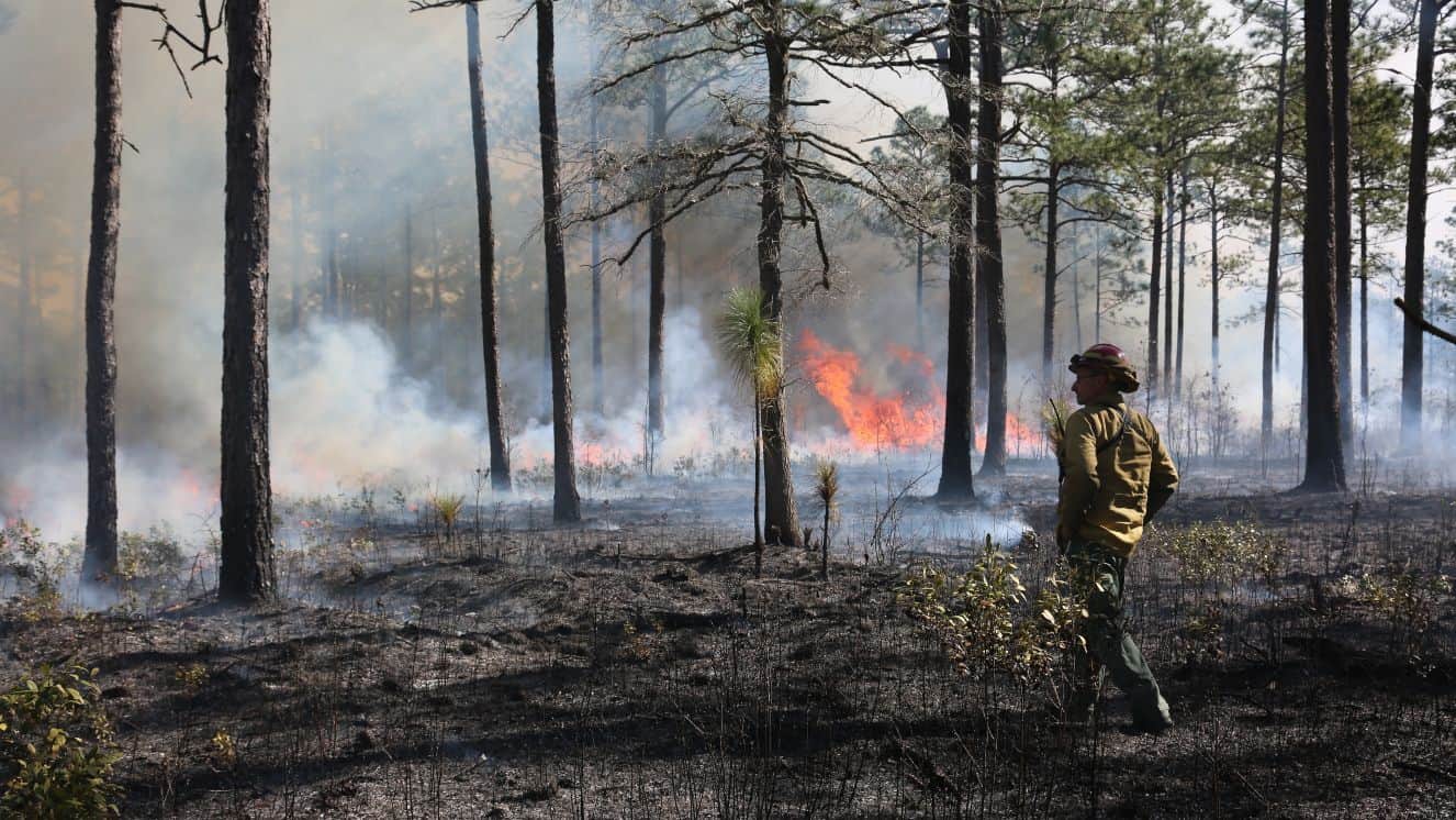 John Magnus, forestry technician, observes a prescribed burn as the wind guides it causing it to grow larger in the LE training area, Marine Corps Base Camp Lejeune, Jan. 30., 2019. New guidance surrounding the Camp Lejeune lawsuit payout per person totals have been released.