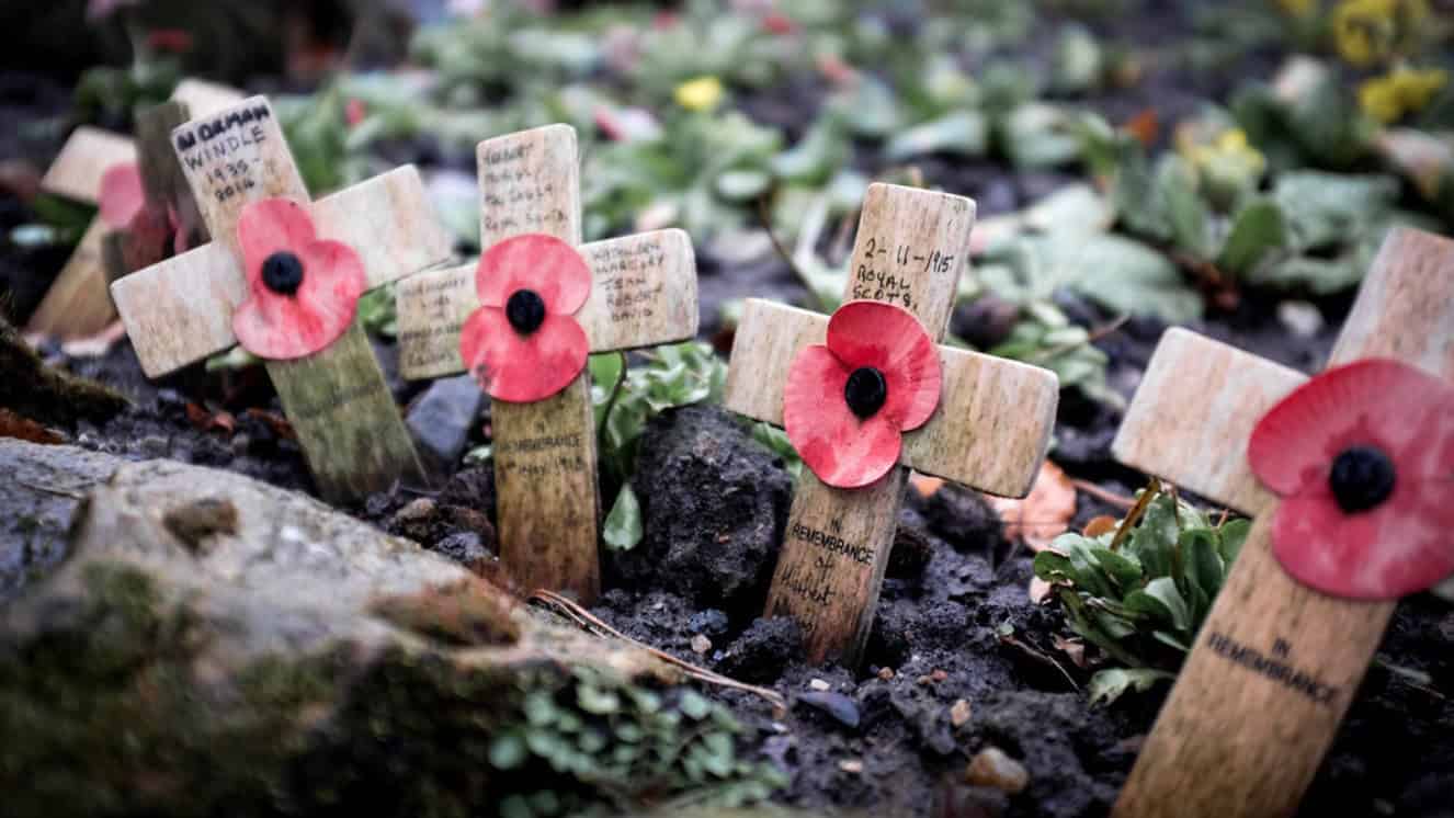 The graves honoring wwi armistice fallen Soldiers.
