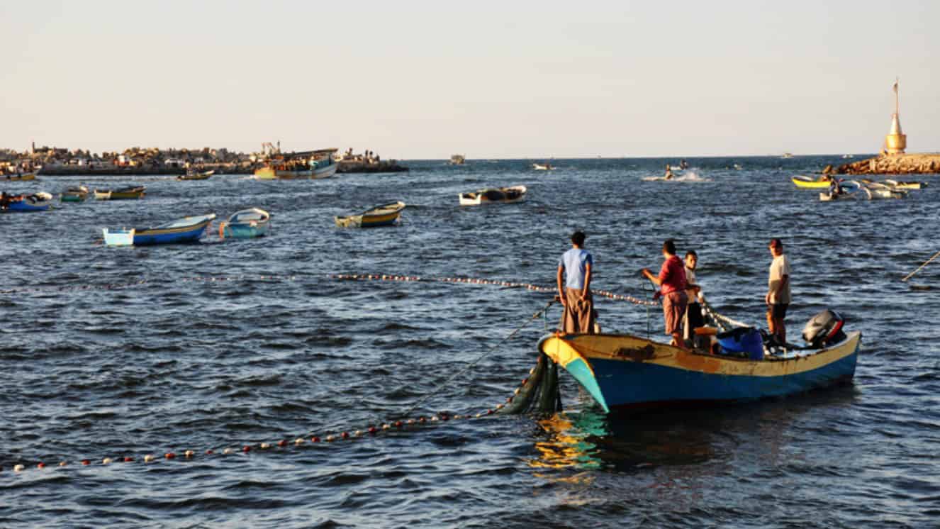 Boats in Gaza port.