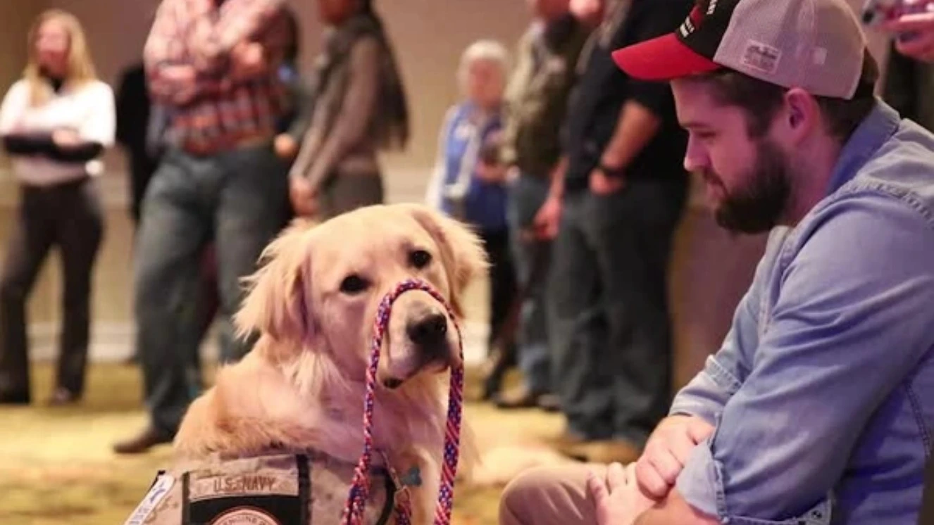 Dog working with a Vet part of the Warrior Canine Connection.