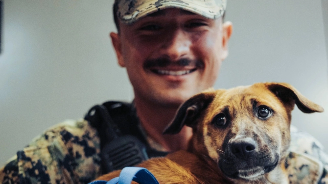 Soldier who went on to adopt a military dog holding his best friend.