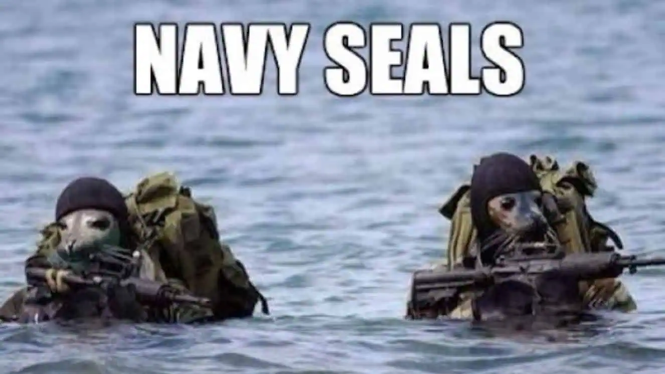 Navy memes about seals.